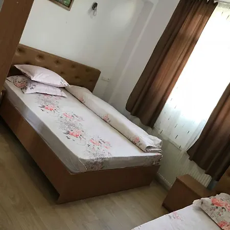 Colt De Rai Săcel